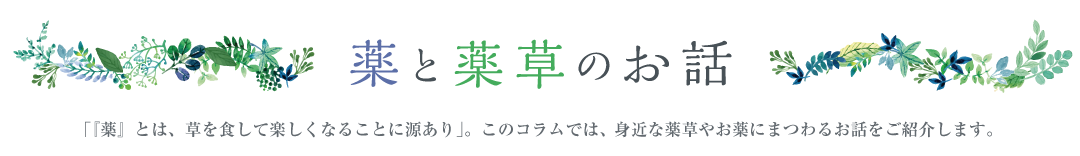 薬と薬草のお話