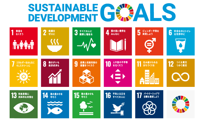 SDgsとは
