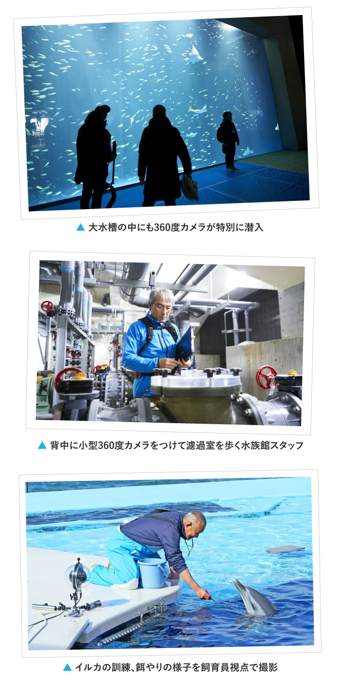 NTT西日本 みらい水族館「ICTで変わる水族館の楽しみ方」