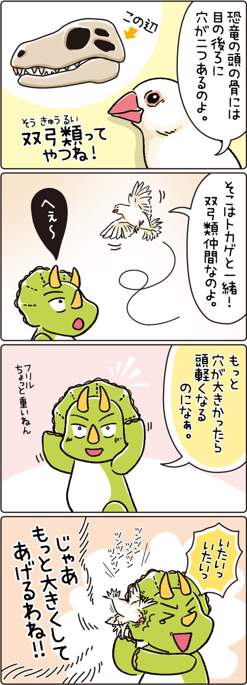 第27話　頭蓋骨の穴の話