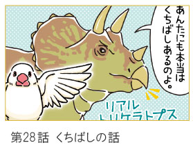 第28話　くちばしの話