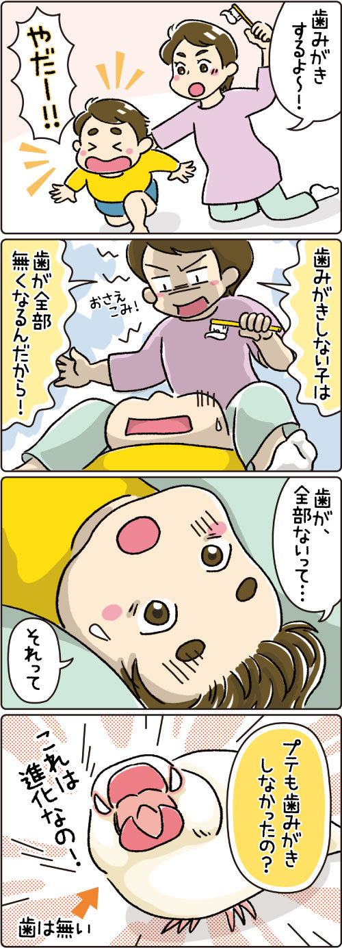 第38話　歯みがき
